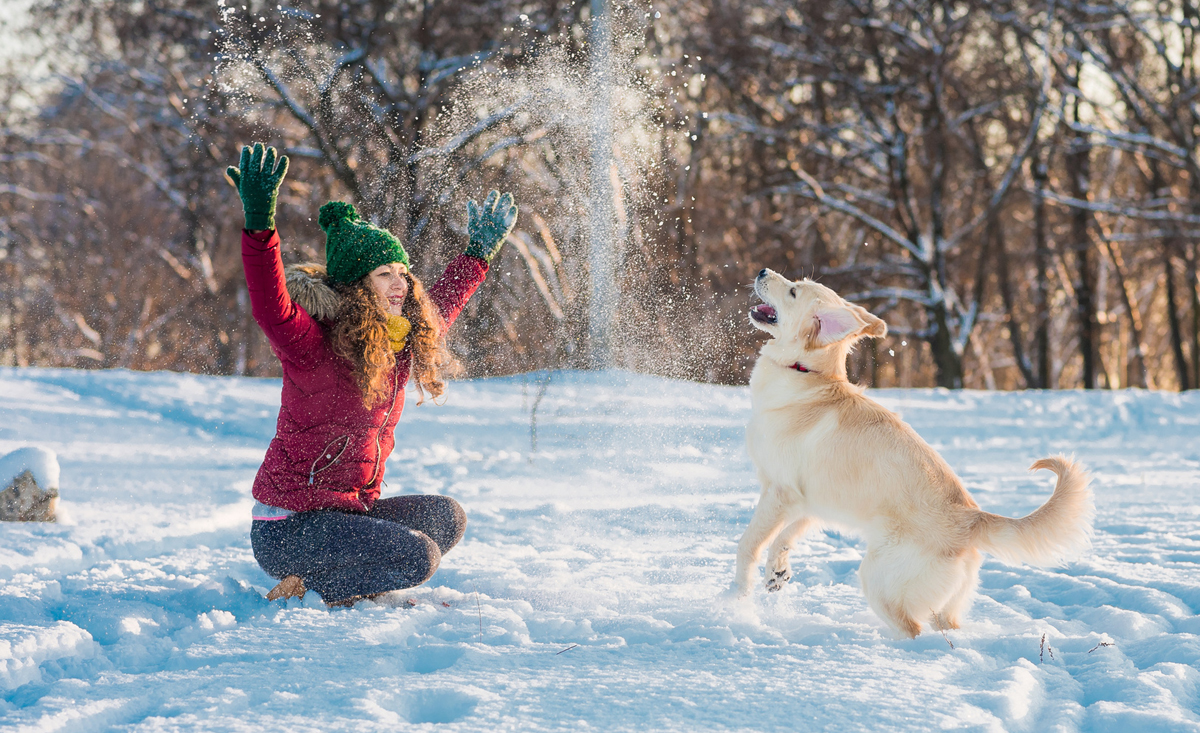 Er maskine Plante Skiurlaub mit Familie und Hund: So klappt es